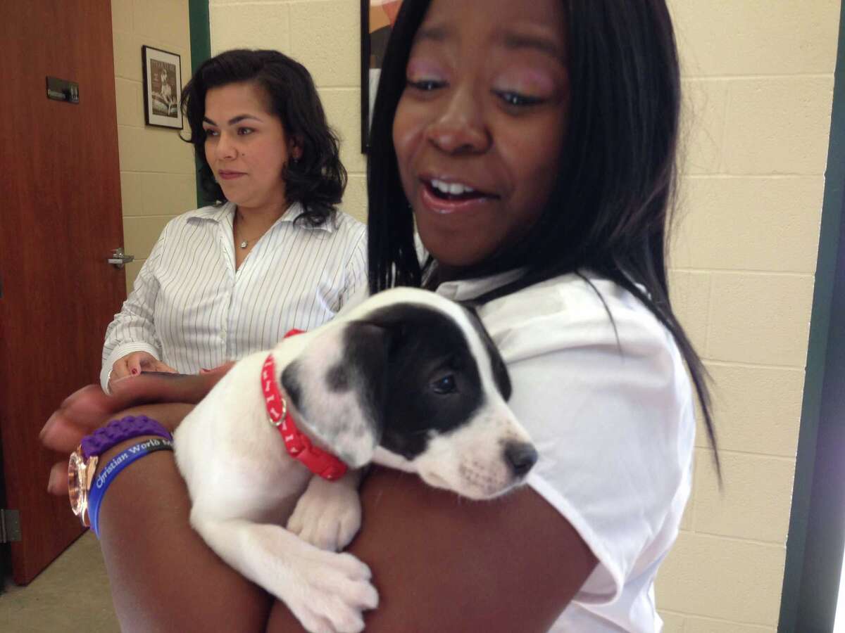 ACS opens new shelter at Brackenridge Park