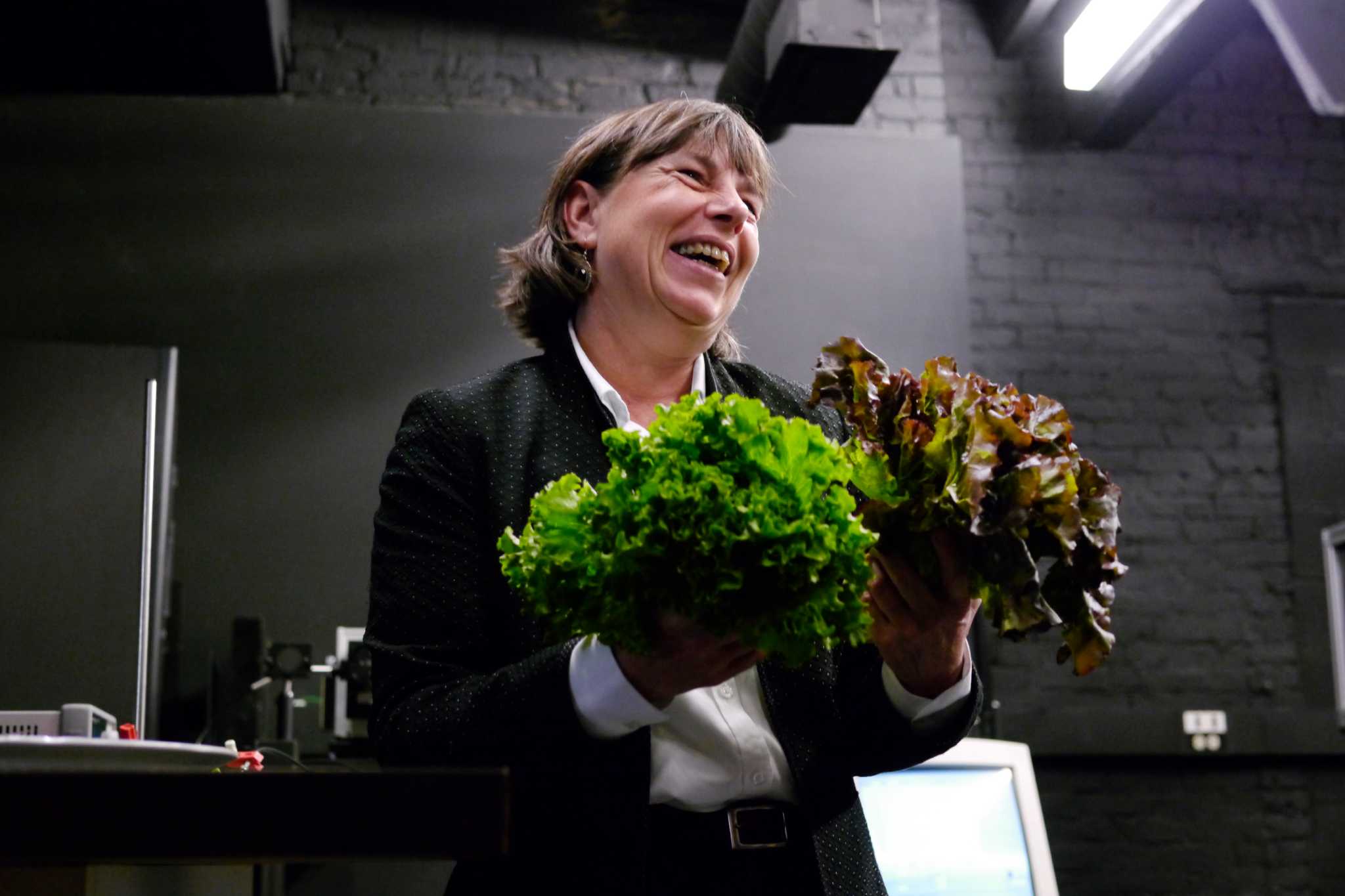 Shedding lab light on plant growth