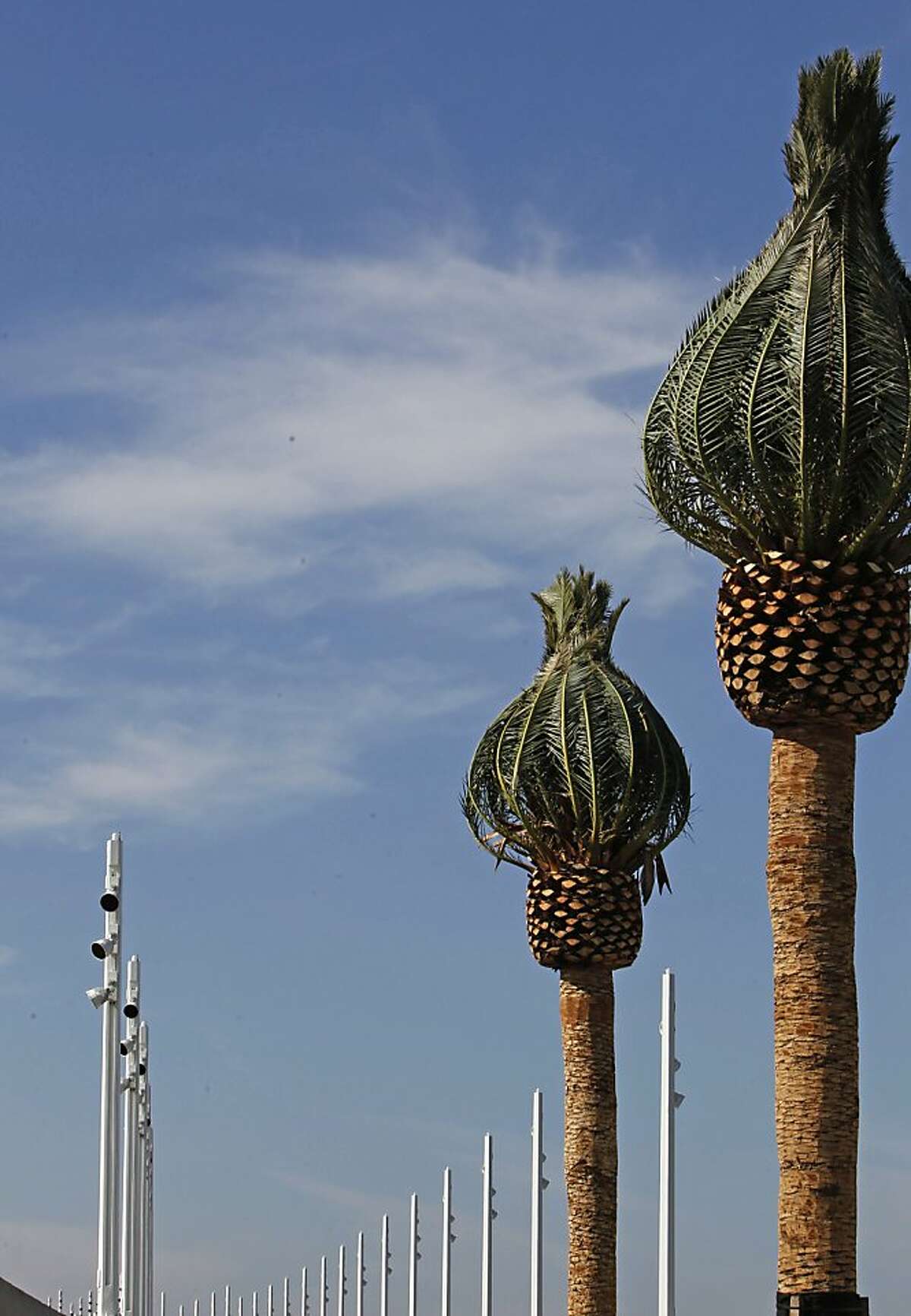 Line of palms mark beginning, end of Bay Bridge