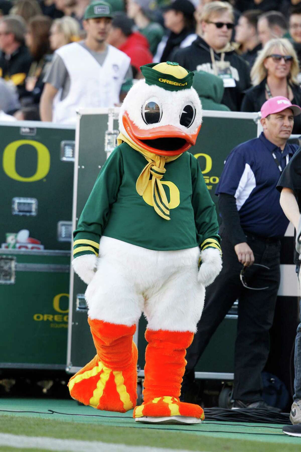 The Oregon Duck replaced the Webfoots as the official mascot.