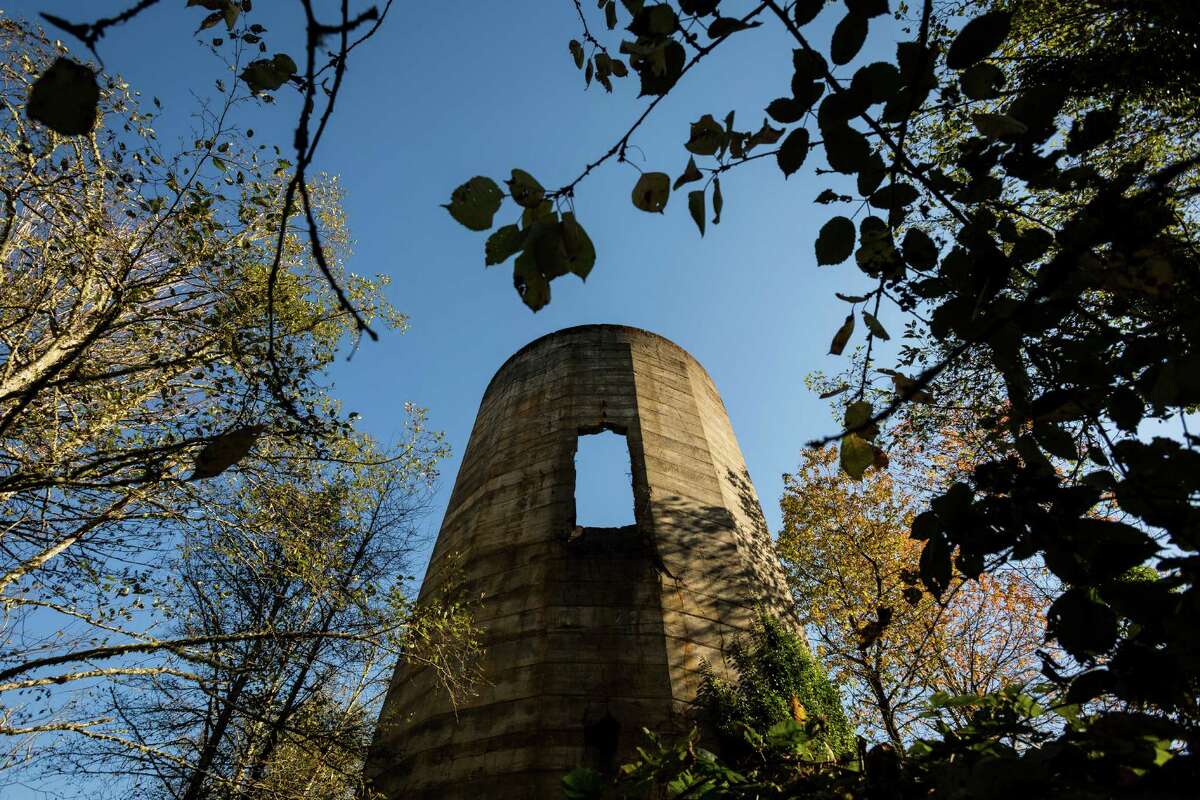 Largely overgrown, the old mill's decaying burn tower serves as an eerie monolith in the woods Monday, Oct. 28, 2013, in Selleck.