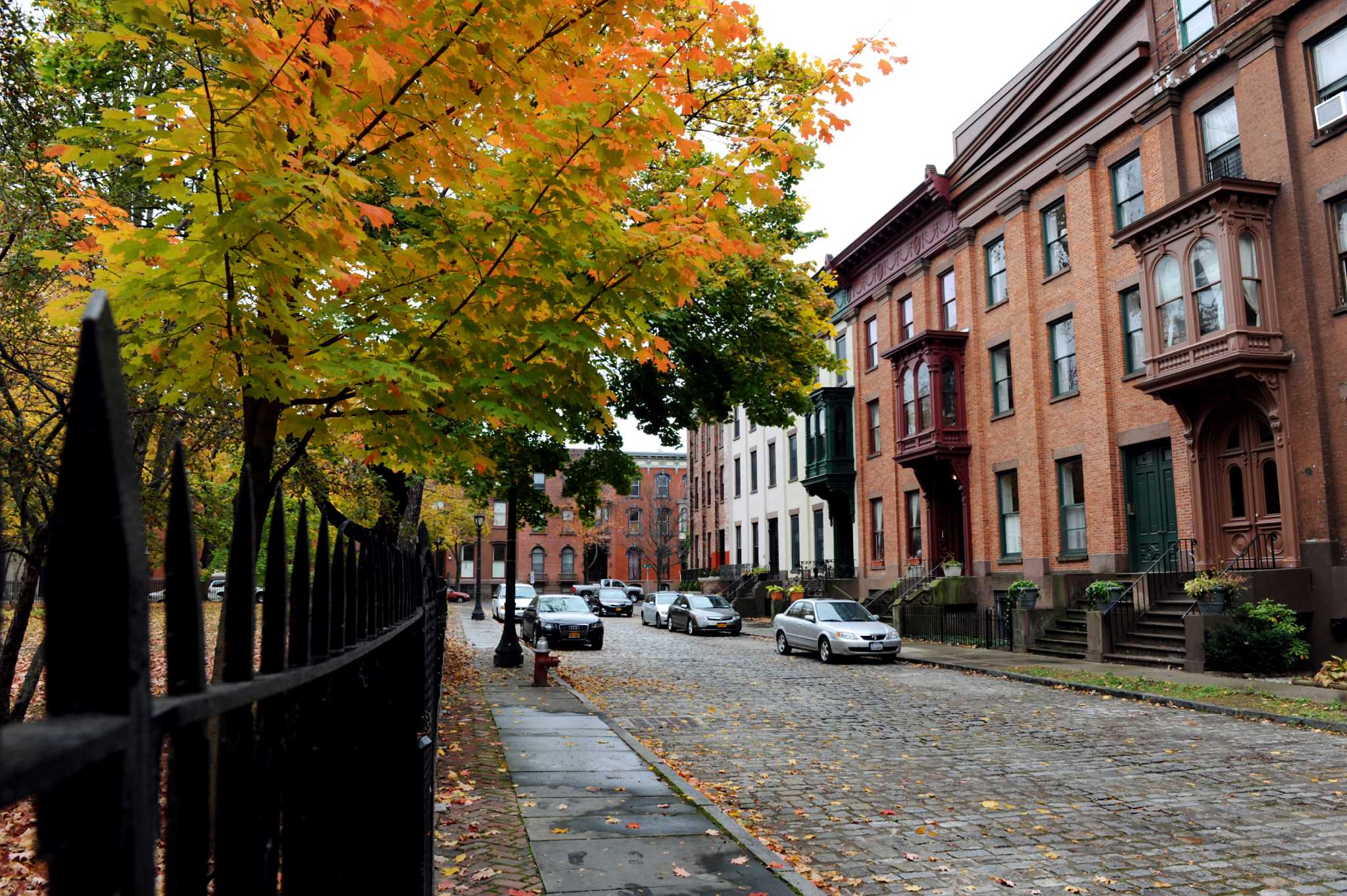 Tax collector casts net on gated Troy park