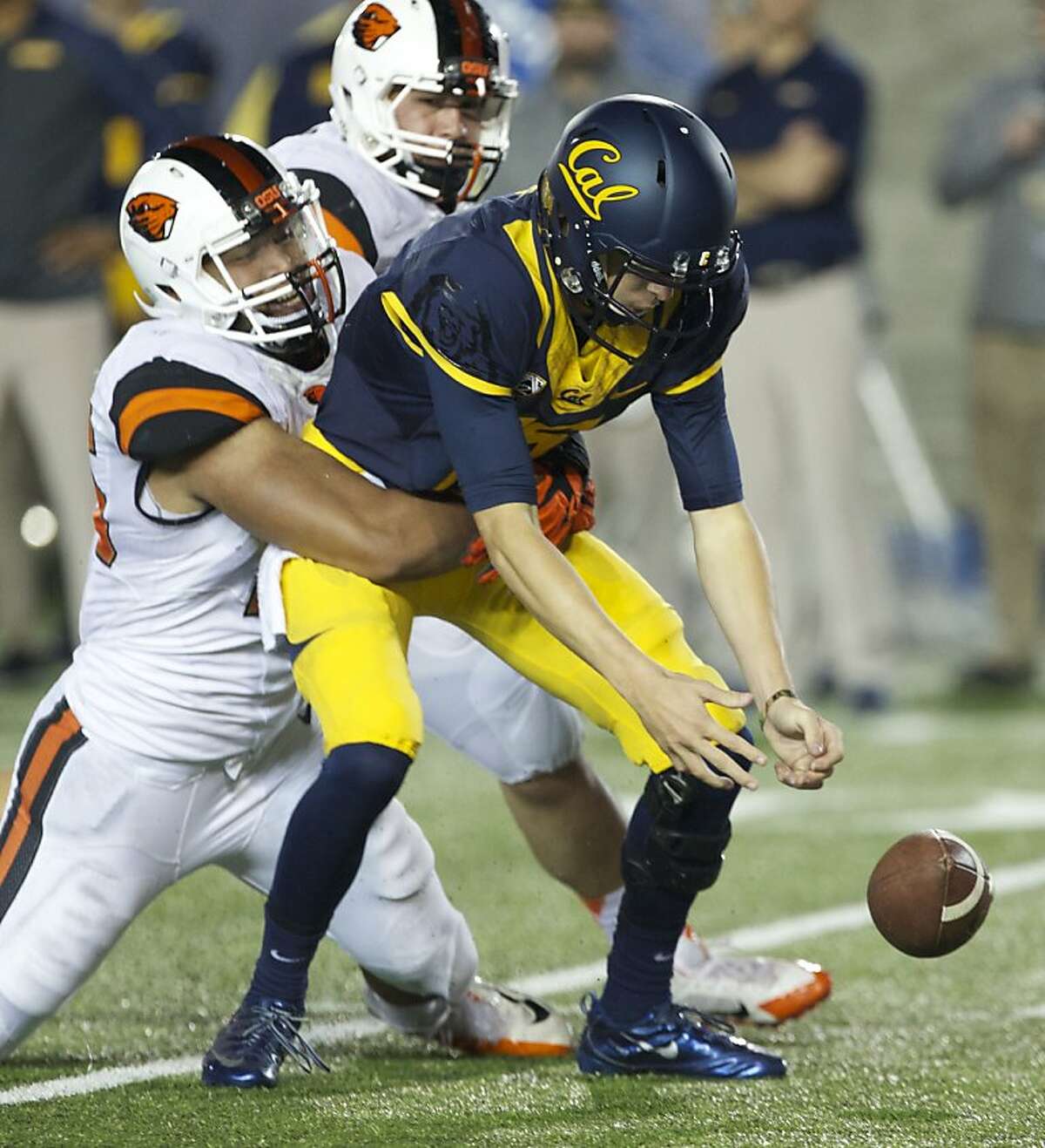 Oregon State Beavers defensive end Scott Crichton (left) sacks California Golden Bears quarterback Jared Goff (16) to set up a Beaver touchdown as defensive tackle Mana Rosa (93) recovered the ball against the California Golden Bears at California Memorial Stadium of the University of California, Berkeley Saturday Oct. 19, 2013. (AP Photo/The Oregonian, Randy L. Rasmussen)