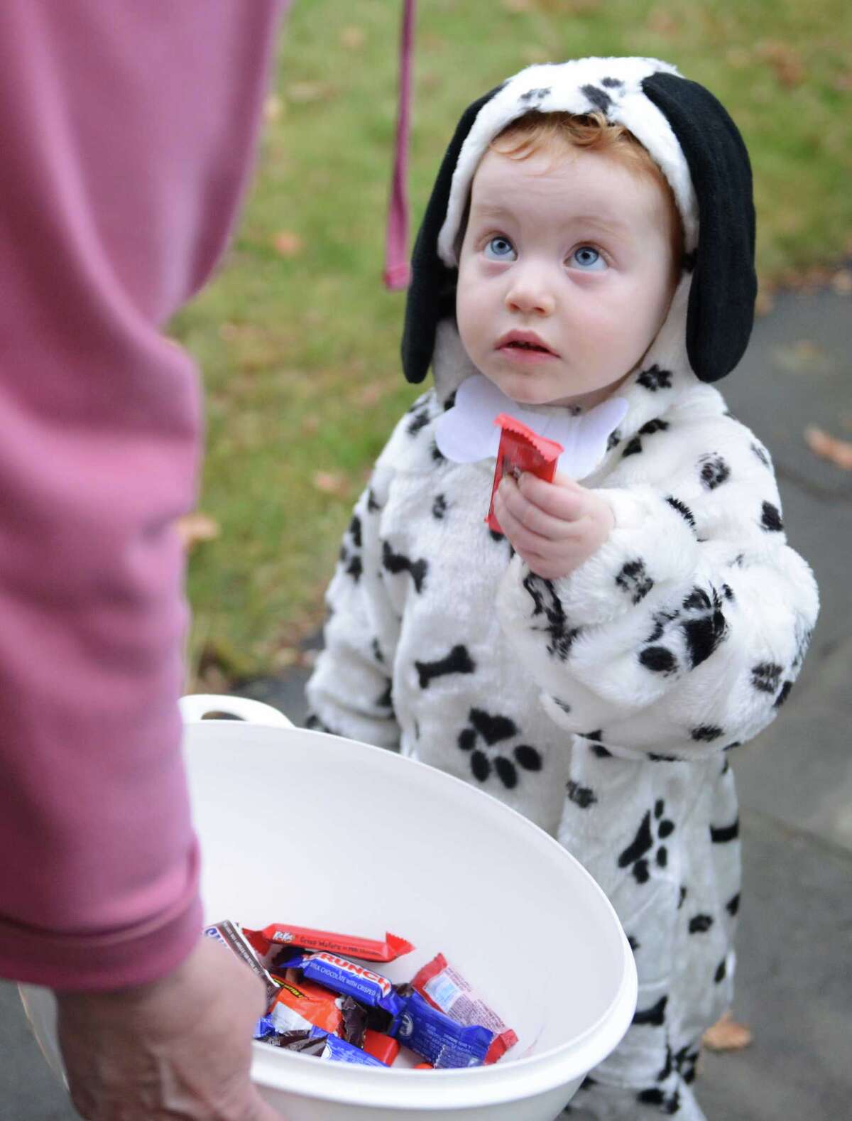 50 Things to do this weekend in Connecticut, Oct. 31Nov. 2