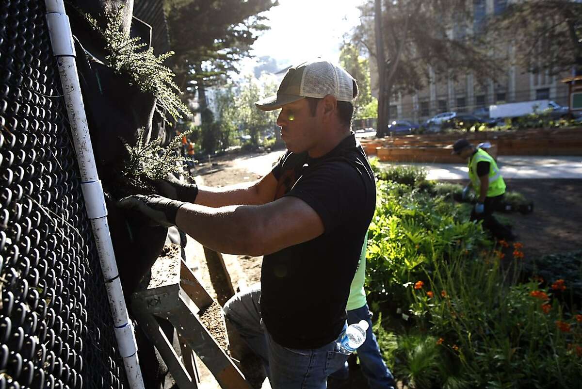 A nuisance recycled into community garden