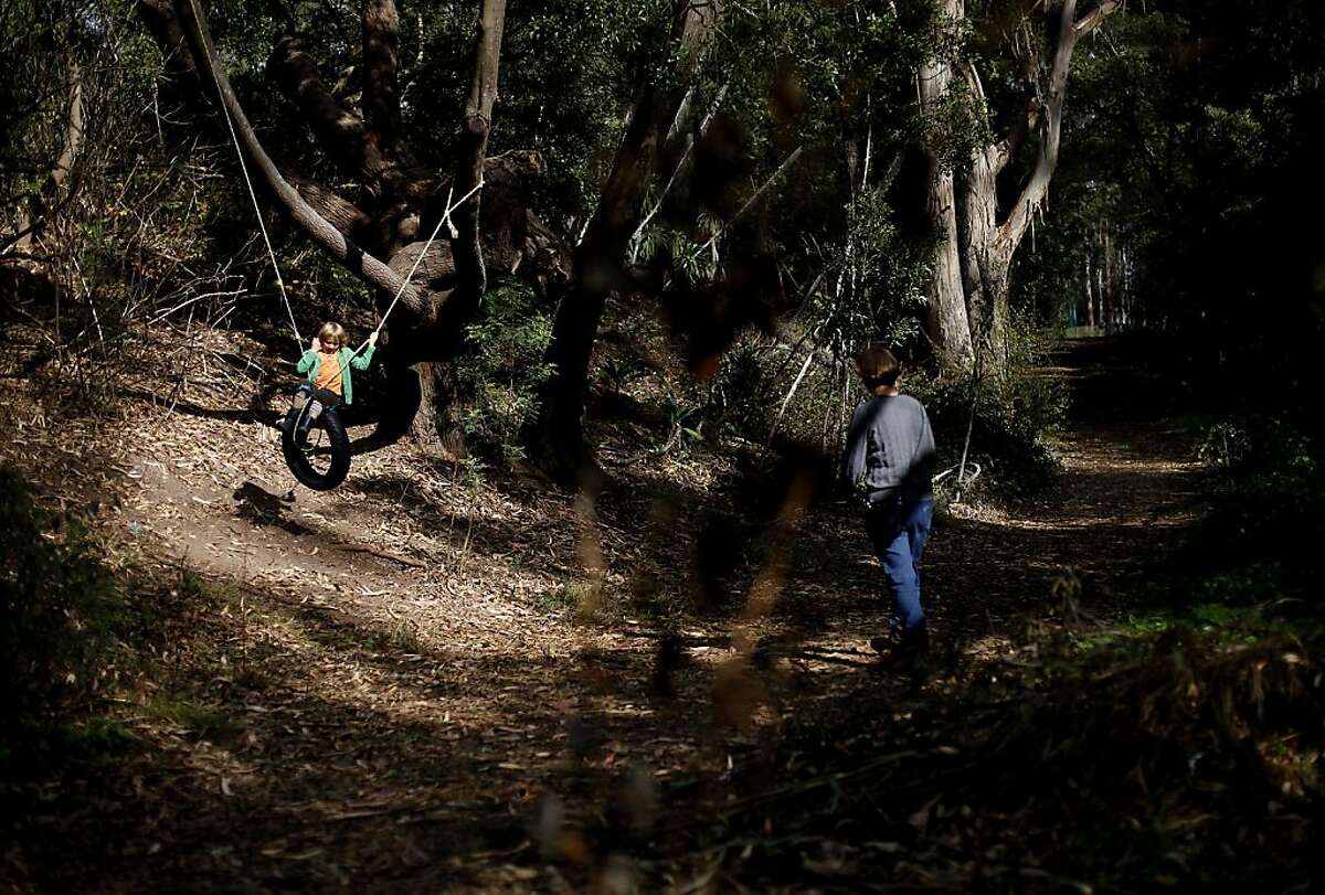 A tire swing gets some use on the paths on Mount Sutro in San Francisco, Calif., on Tuesday, October 29, 2013.