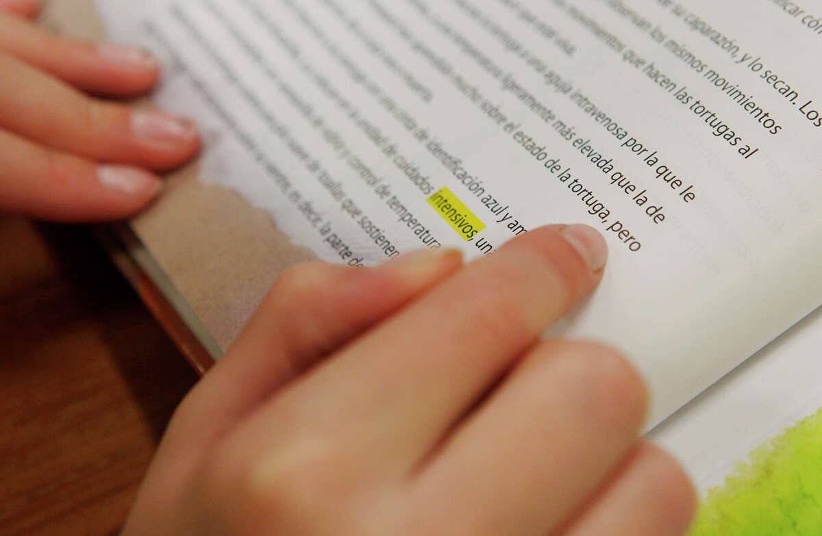 Spelling bees in Spanish are catching on