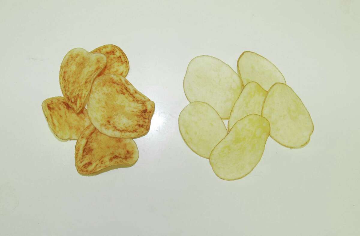 Potato growers turn tide on Zebra Chip