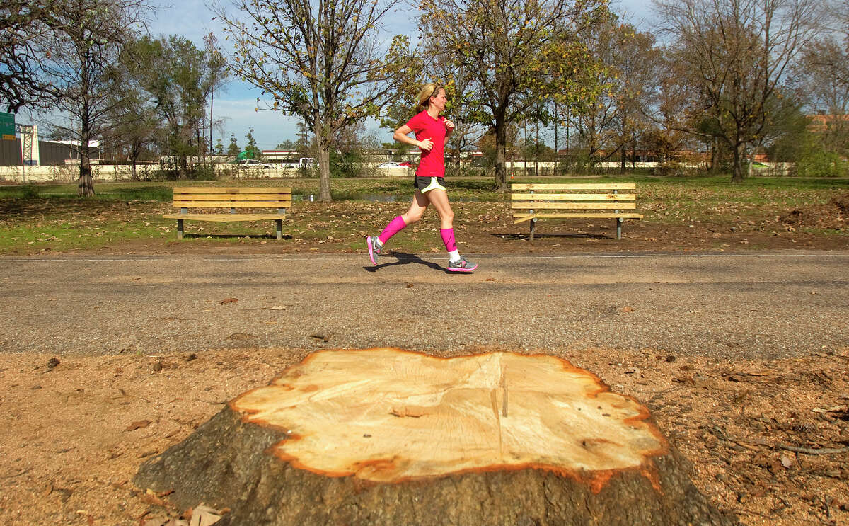 Joggers in Memorial Park get a first-hand look at the effects of the statewide drought, as stumps mark where dead trees have been removed.