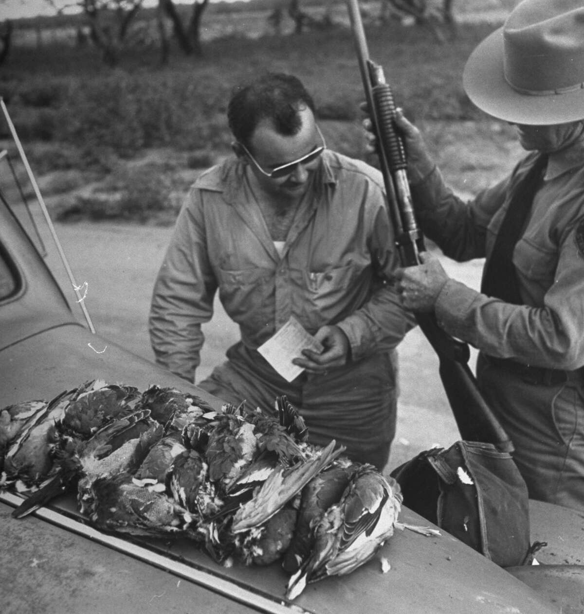 Newest batch of Texas game warden field notes don't fail to entertain