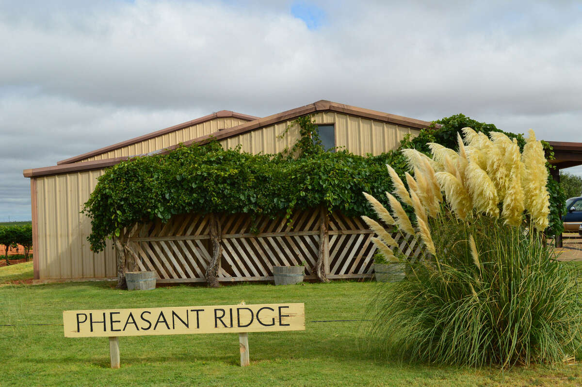 Pheasant Ridge Winery was sold in four parcels that totaled $709,682.90. Bingham Family Vineyards had the winning bid for the winery and vineyards parcels.