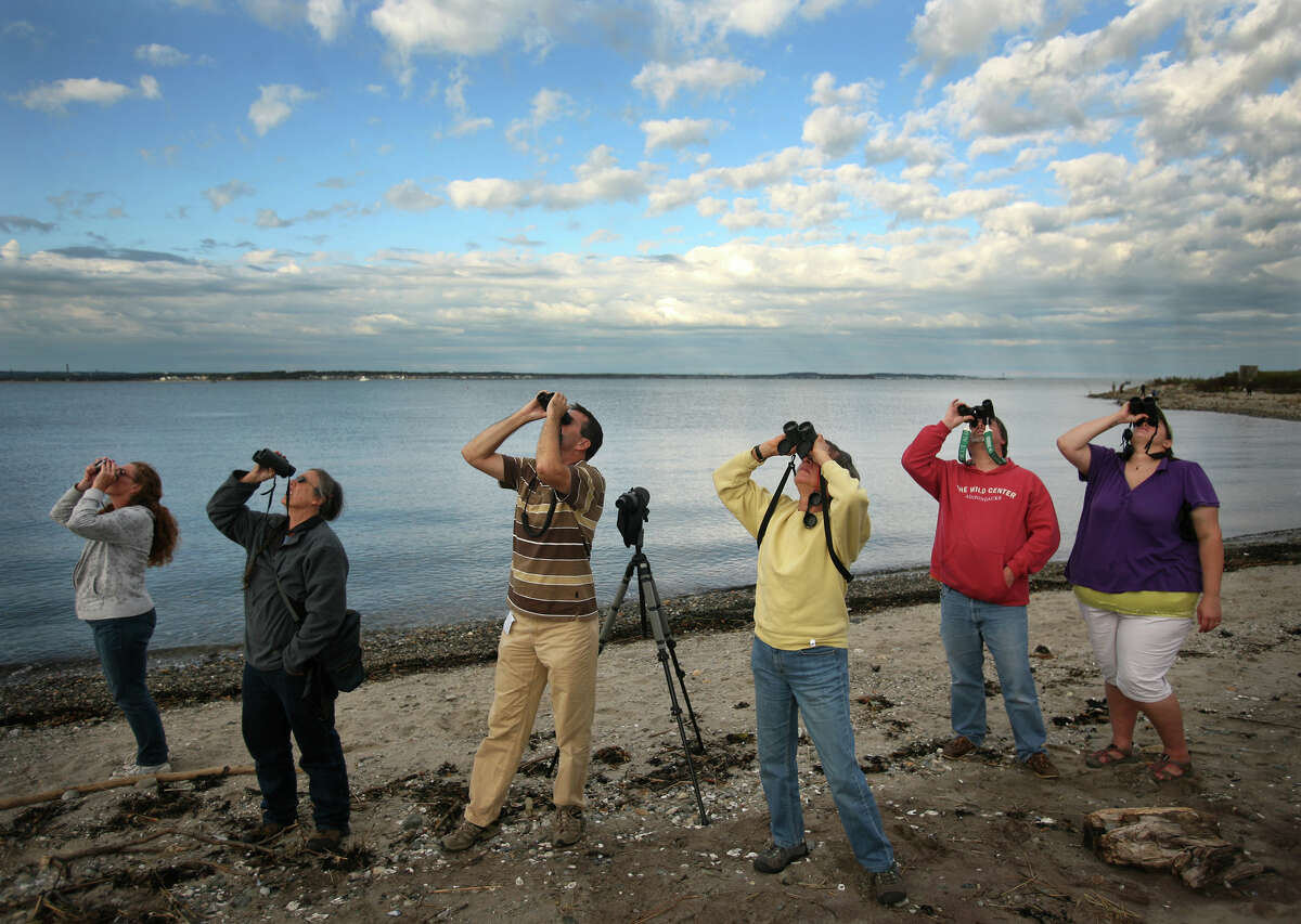File photo of birders on the shore of Stratford Point in Stratford in October of 2011. A man-made reef could soon be built at Stratford Point to blunt the huge waves generated by hurricane-force winds from storms like Irene and Sandy.
