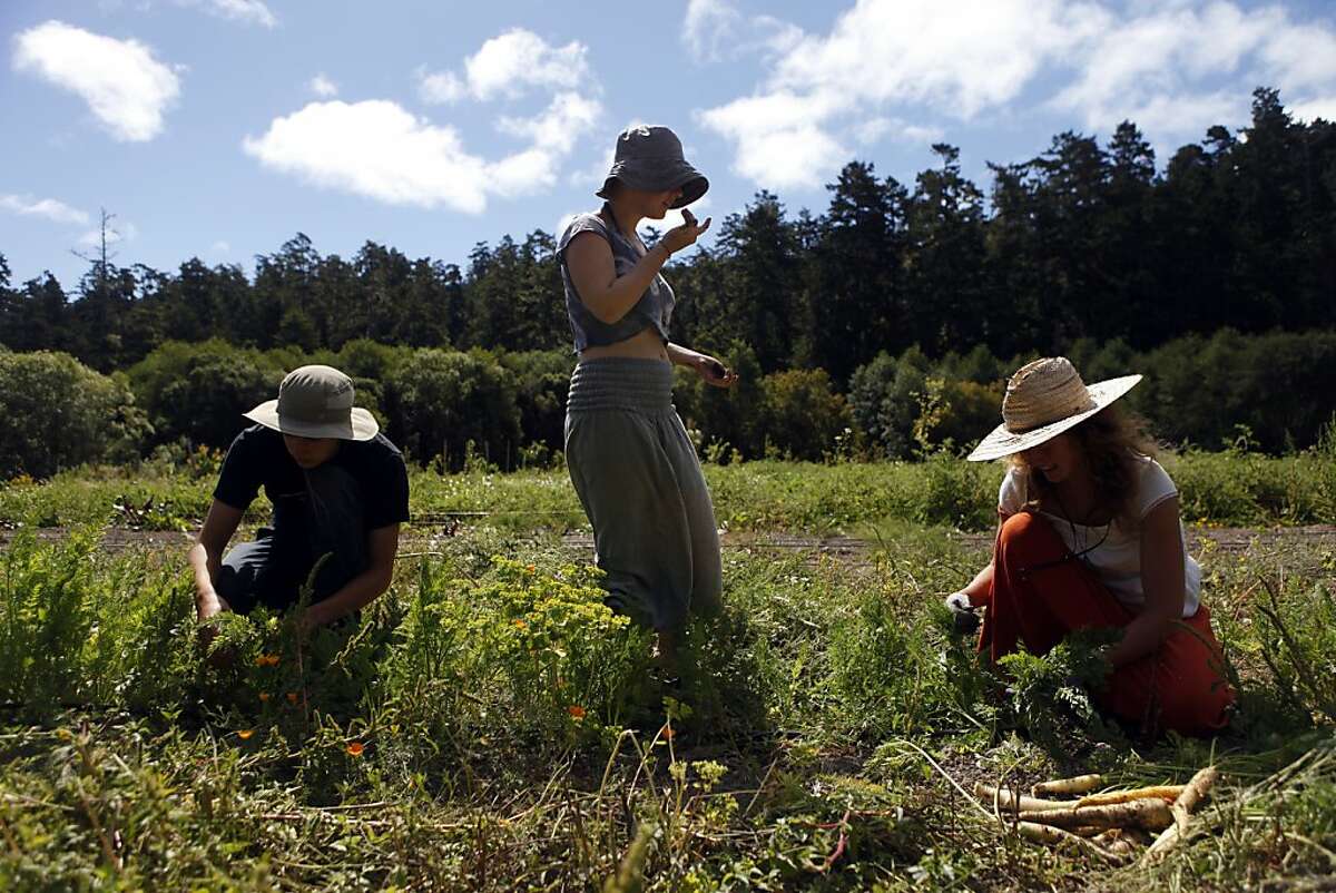 10. Ecological consciousness and organic farming in France.