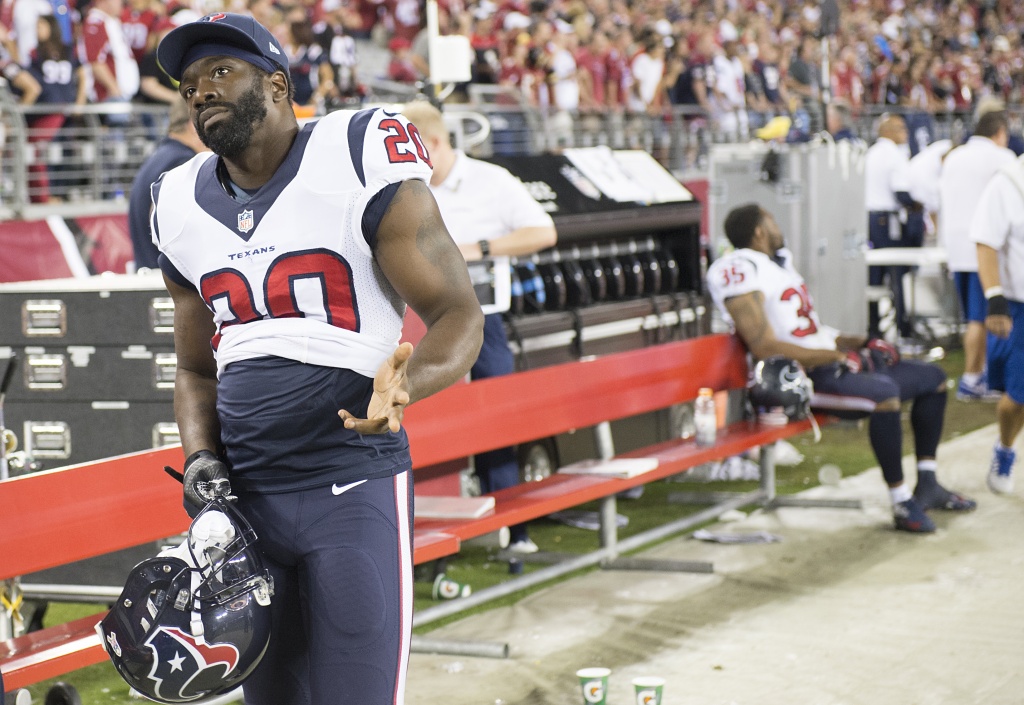 Ed reed best sale texans jersey