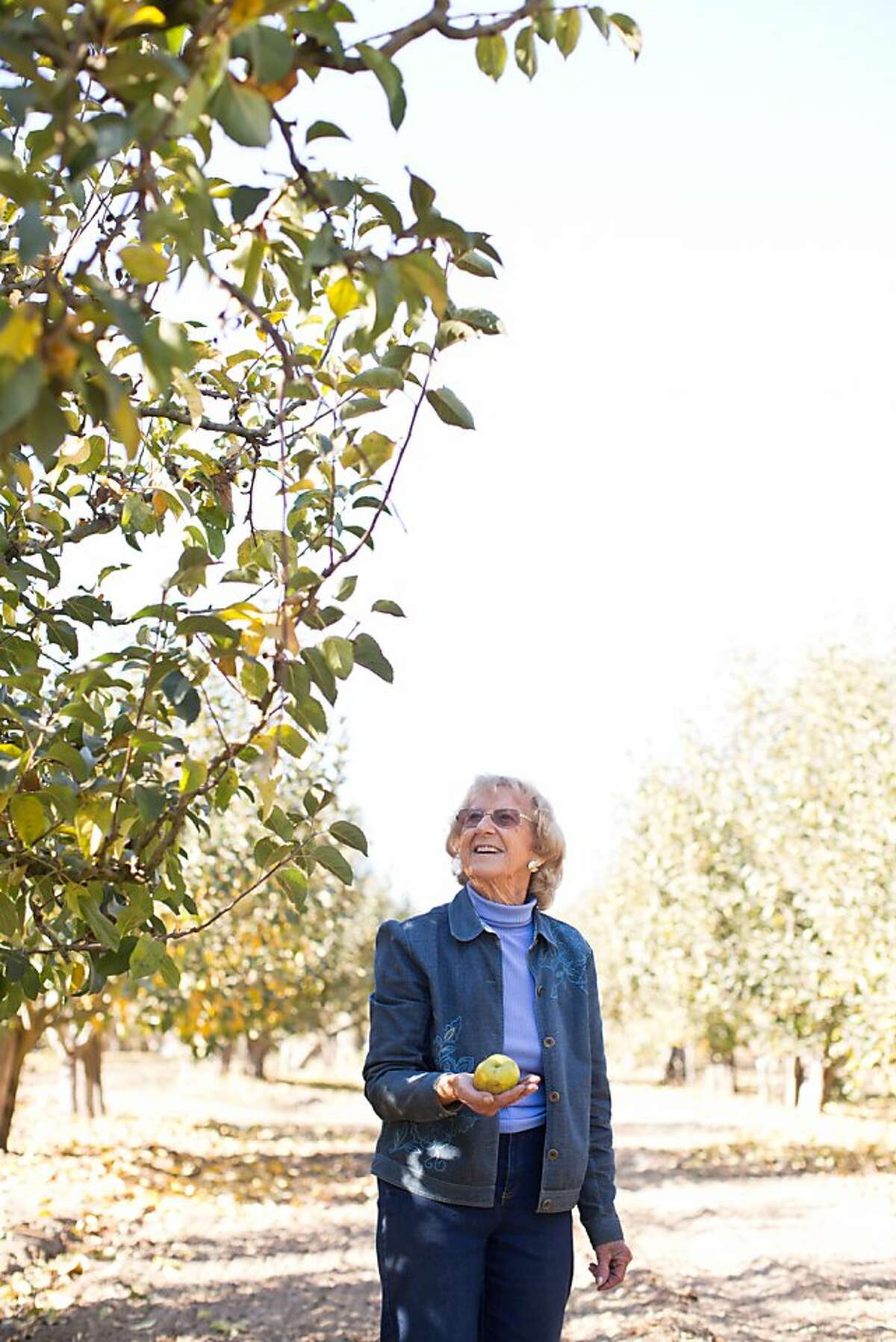 Core Business Of Apples Losing Ground In Watsonville