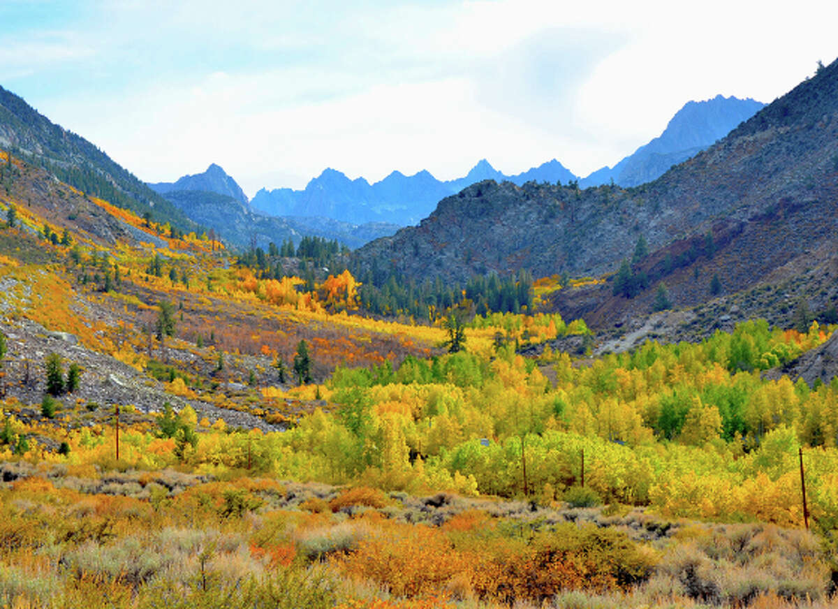 Fall foliage map predicts when the leaves will change and where