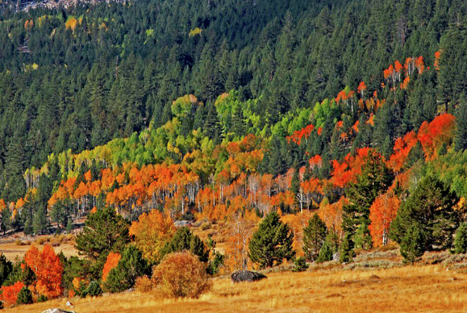 Fall foliage season arrives in Northern California SFGate