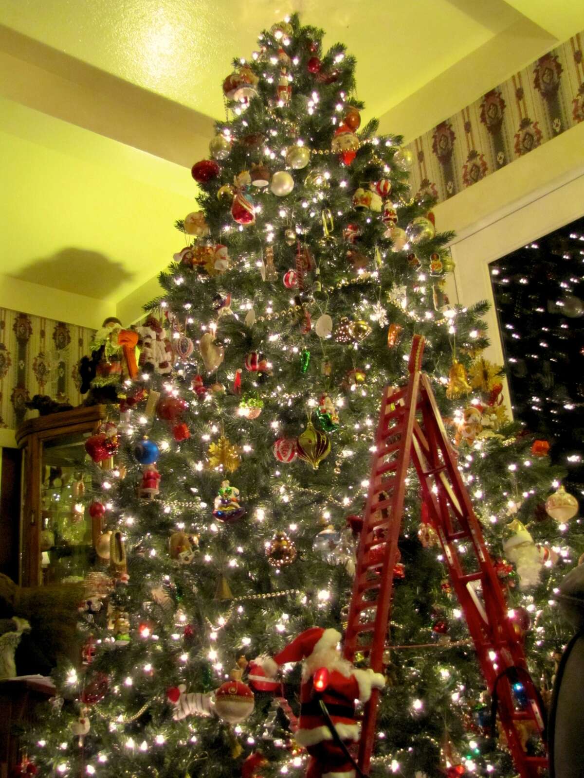 Holiday festivities on the Central Coast