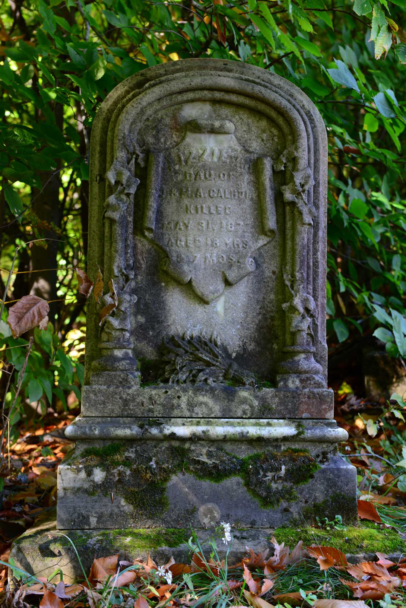 Lizzie M. Calhoun, 1858-1877 - Vimarsana News