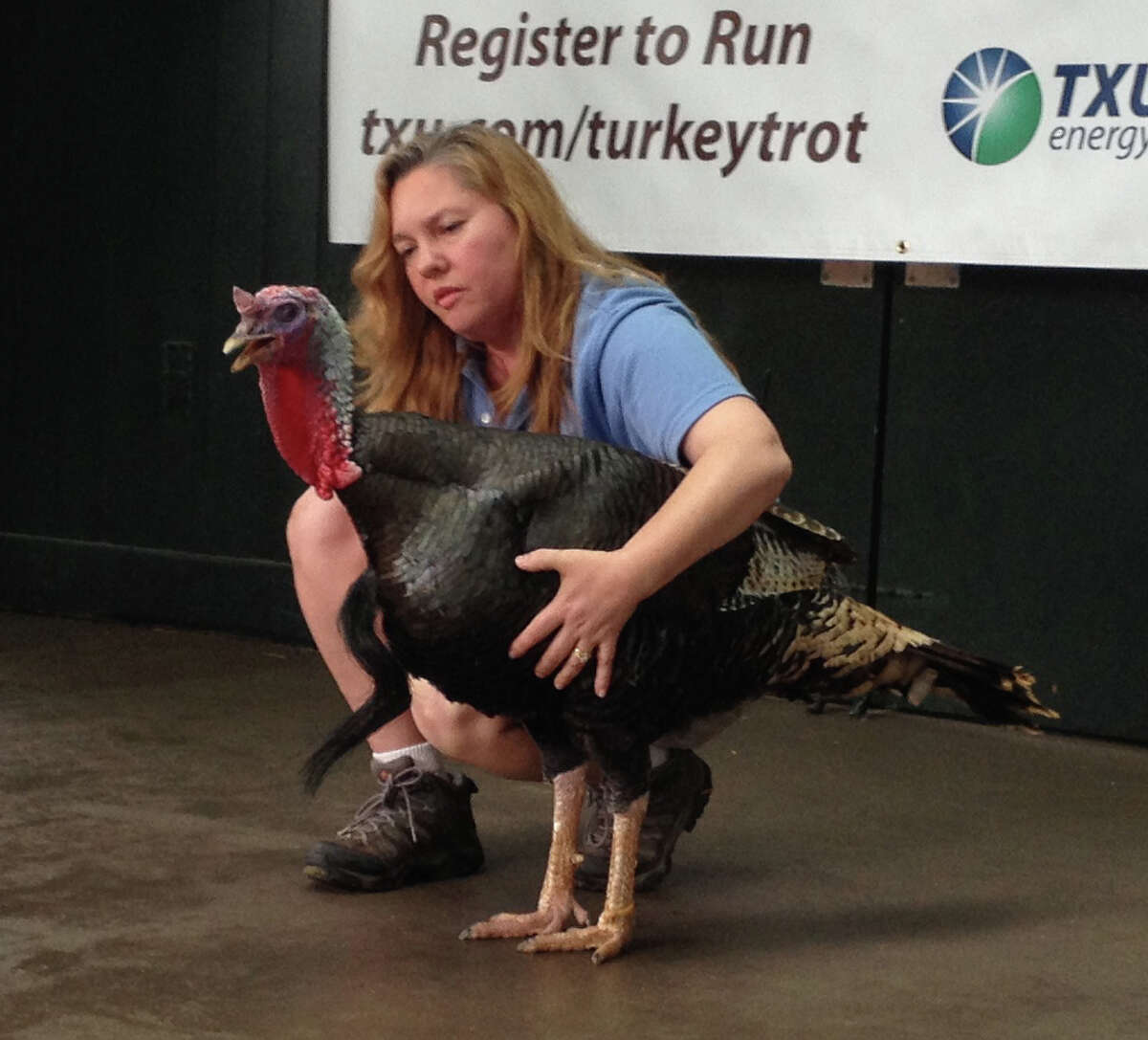 Kim Shotola, Supervisor of McGovern Childrenâs Zoo at the Houston Zoo, with a turkey at the TXU Energy Turkey Calling Contest