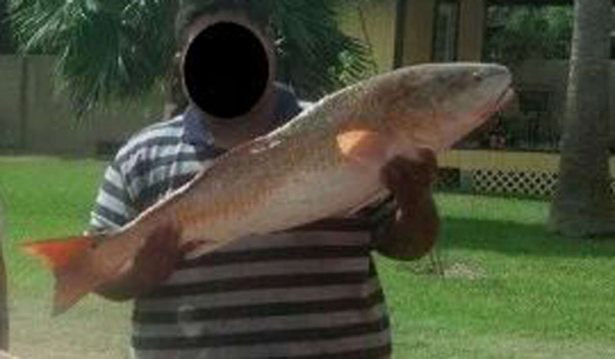 Texas Fisherman's Photo Of Enormous Red Drum Goes Viral, Gets Him Arrested