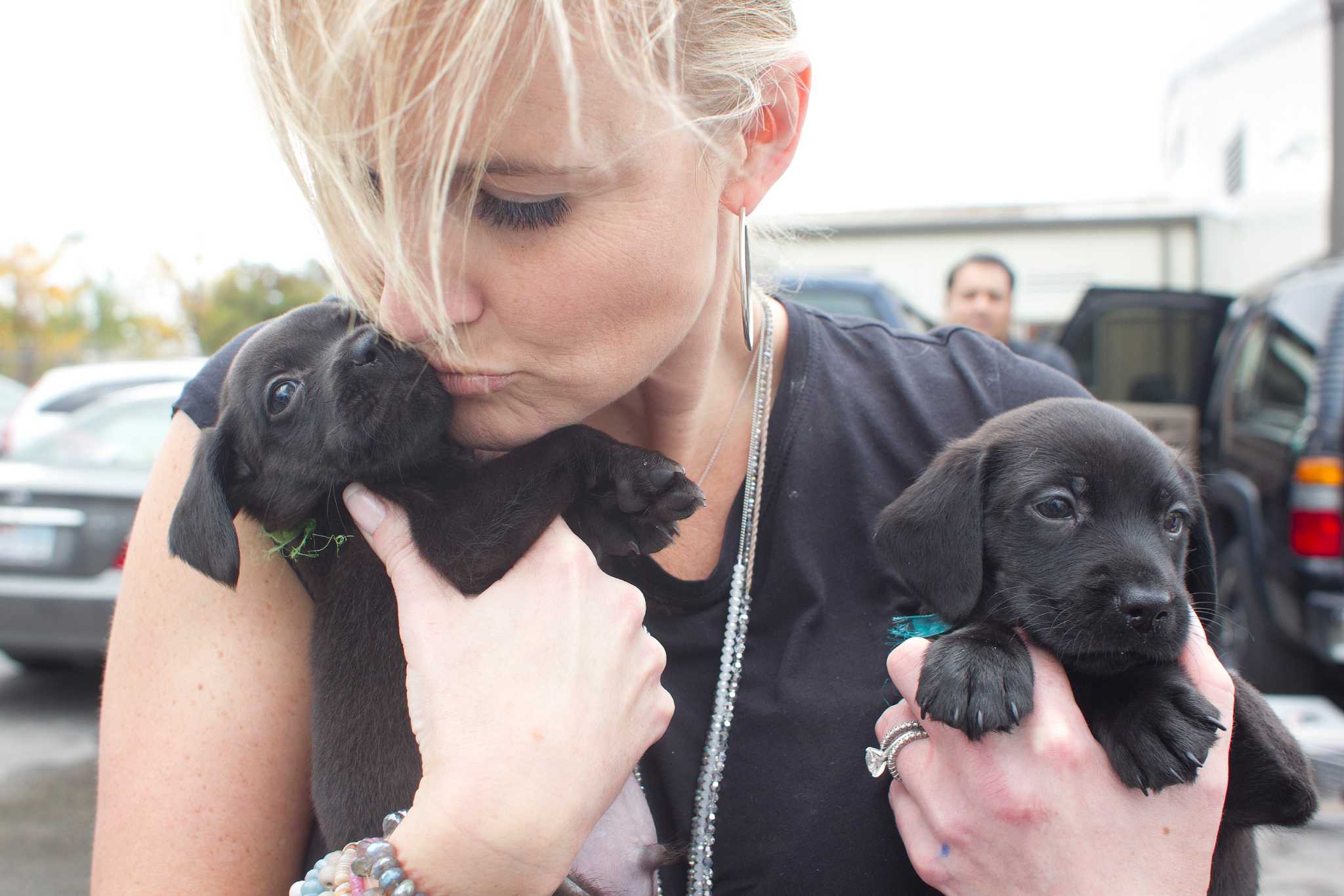 Supply and demand: BARC to ship pets to Colorado Supply and demand: BARC to ship pets to Colorado