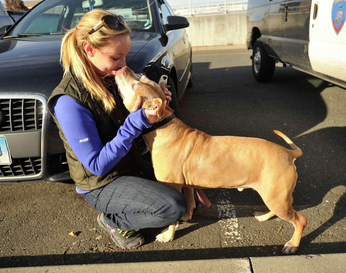 Volunteer Anya Kopchinsky is licked by Redman, an 8-year-old pit bull, while taking him out for exercise outside the Stamford Animal Shelter in Stamford on Nov.14. Kopchinsky is also the director of OPIN, Outreach to Pets in Need, a not-for-profit organization that raises funds for homeless animals to receive medical care. Kopchinsky recommends current or future dog owners come to a class that is held every Wednesday evening where people are educated on what to expect from an animal and given lessons on how to properly train their dog.
