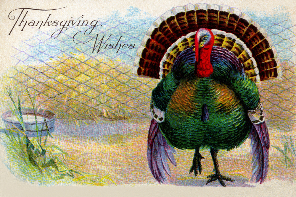 18 vintage Thanksgiving cards