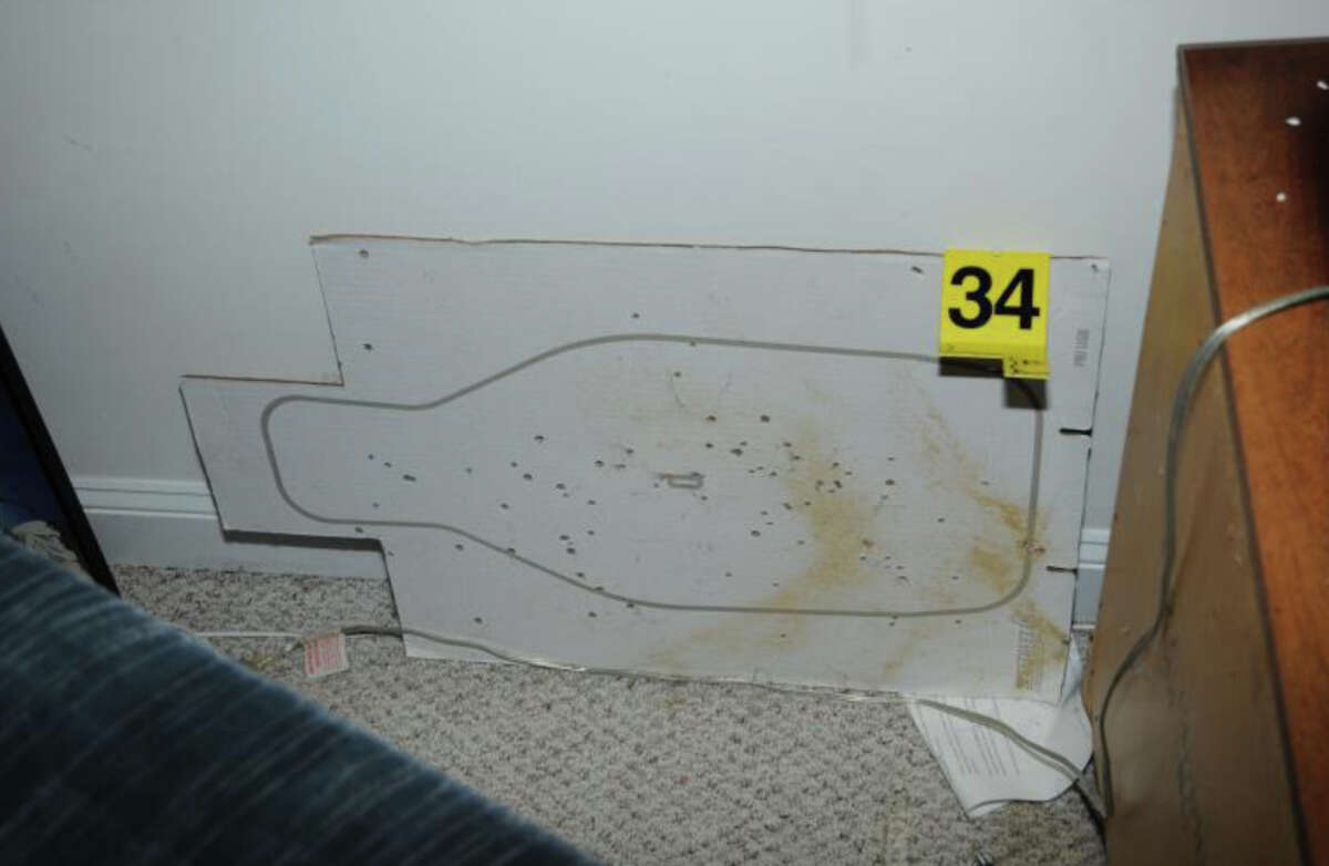 Experts divided over Sandy Hook response