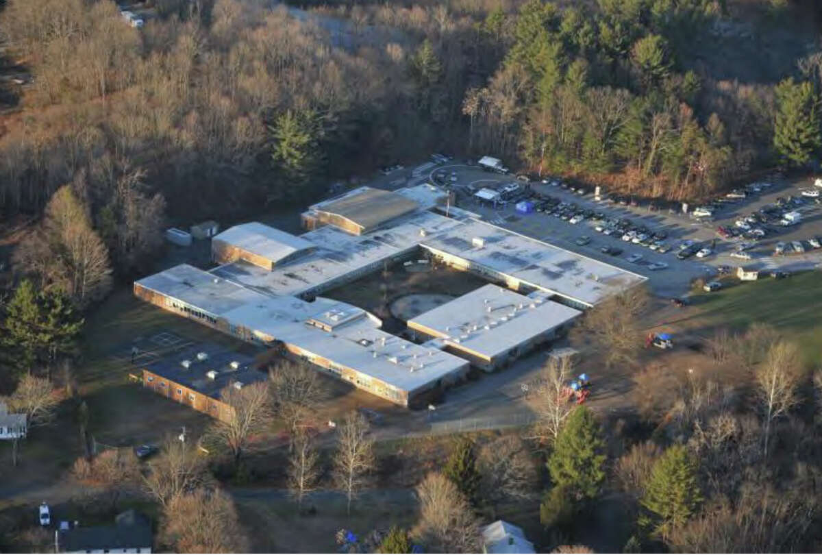 Experts divided over Sandy Hook response