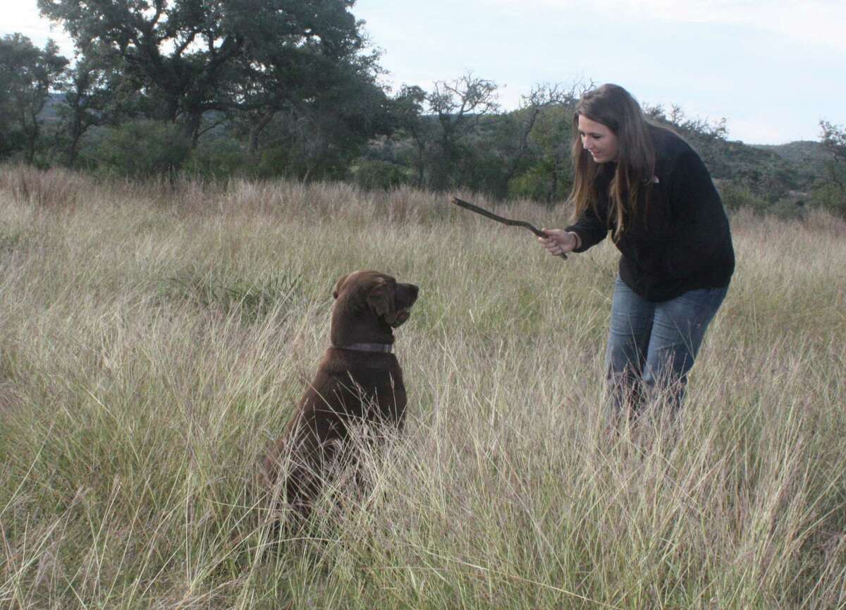 Kendall County youth ag facility is mooving along