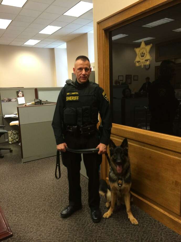 K-9 Moe joins Albany County Sheriff's Office - Times Union