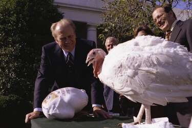 turkey jibbitz