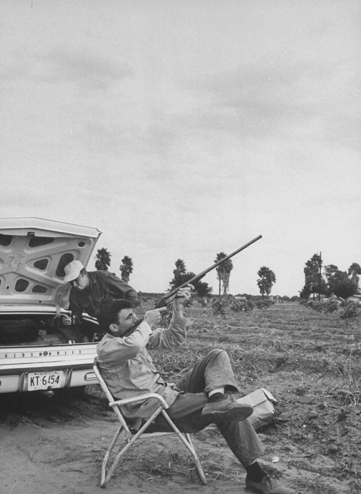 Dove hunters rule in Texas