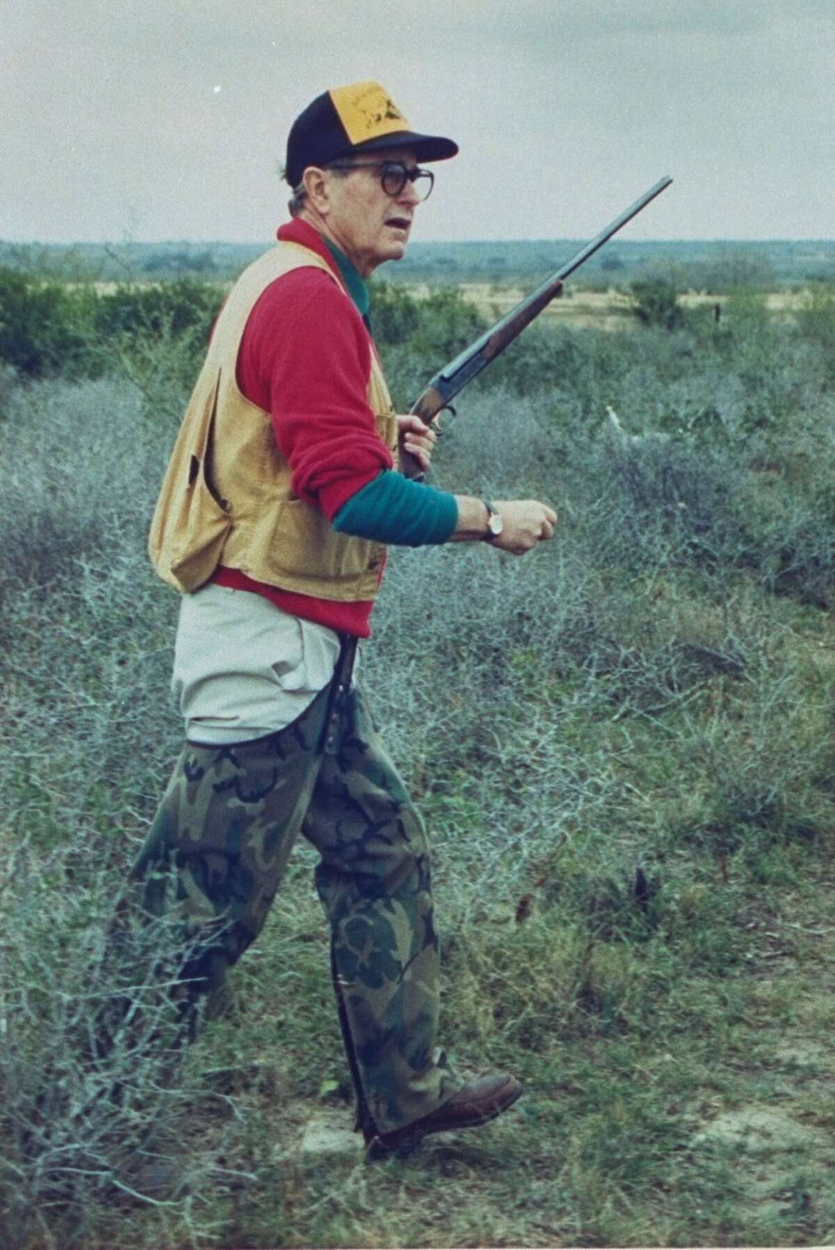 Dove hunters rule in Texas