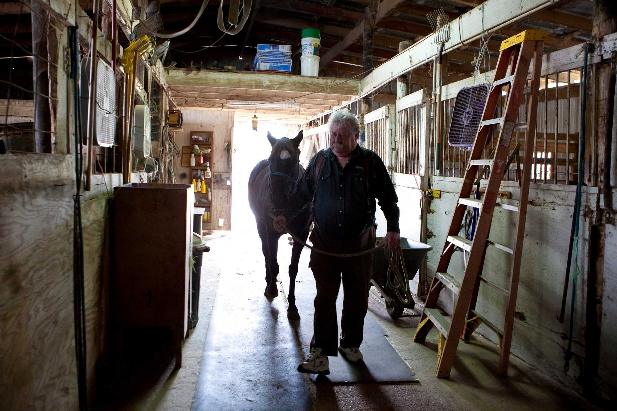 On the wrong track illegal horse racing in Texas