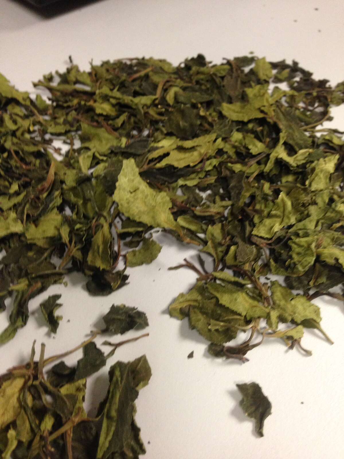 Drug raids target African plant 'khat'