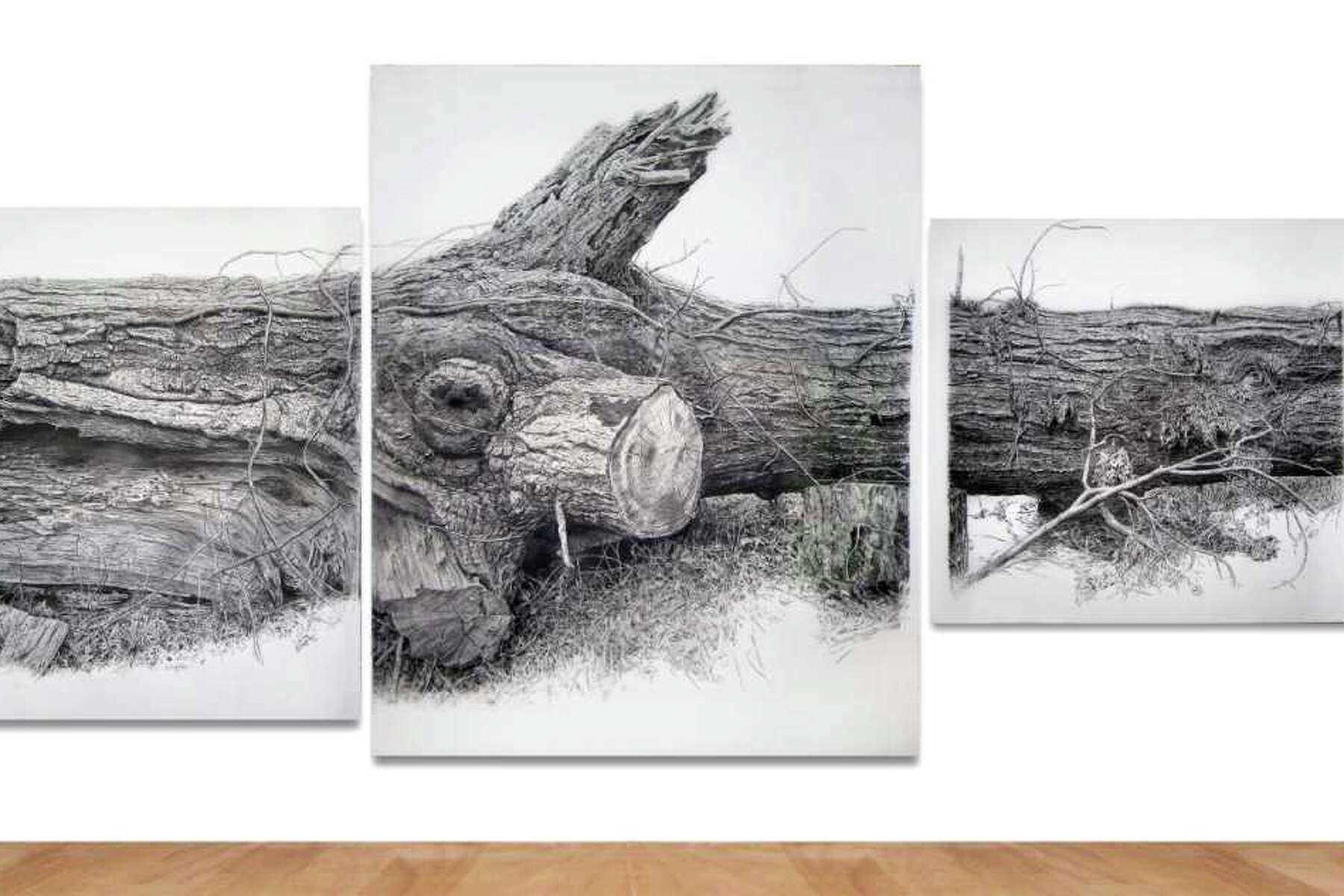 New Greenwich exhibition shows diversity in drawing, line by line