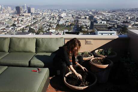 Bonnie Fisher digs nuts cached by squirrels out of a pot on her terrace at her home across from Buena Vista Park on November 30, 2013 in San Francisco, Calif.