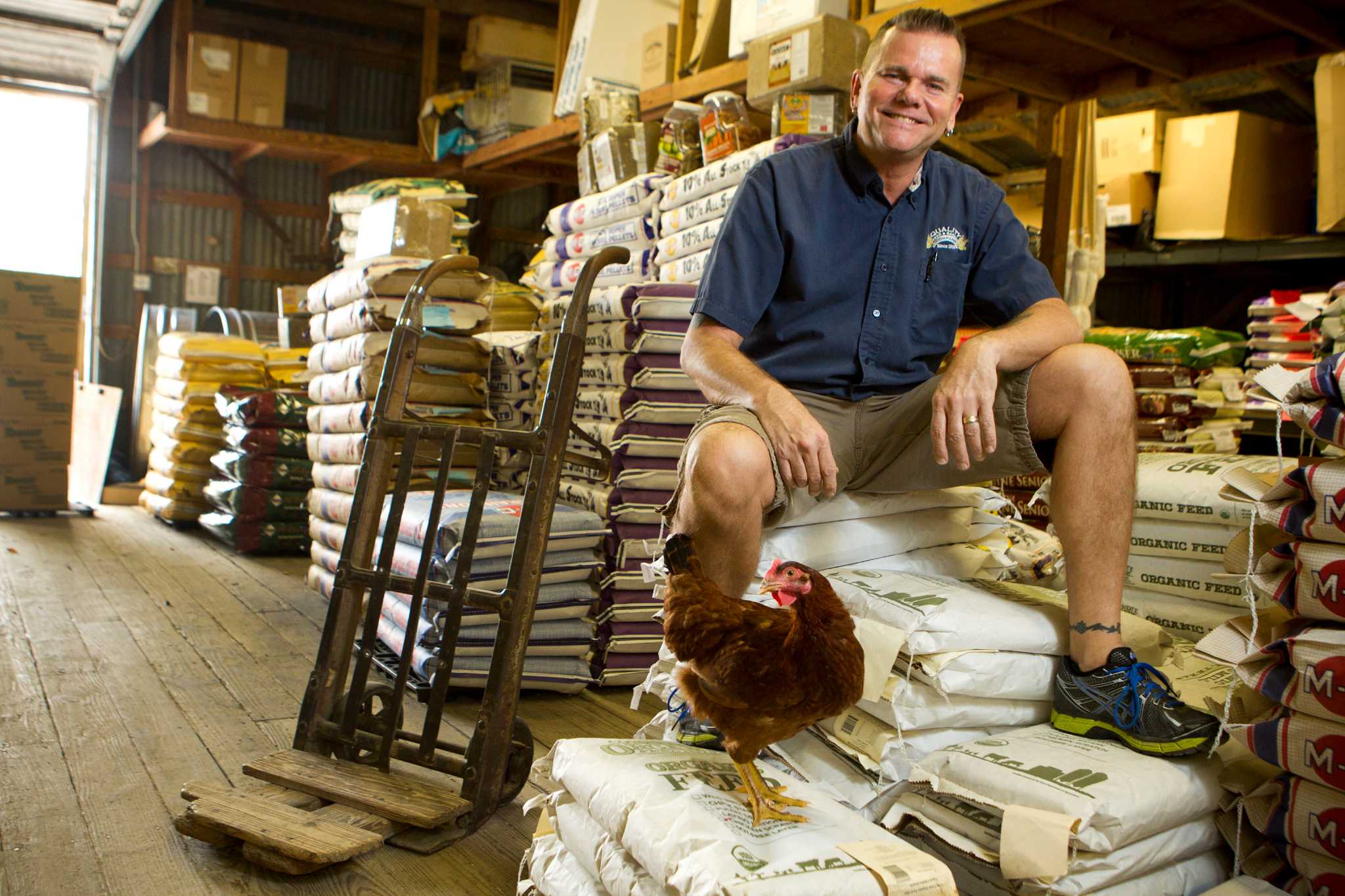 Coomer Farm- Exhibition Poultry & Equine