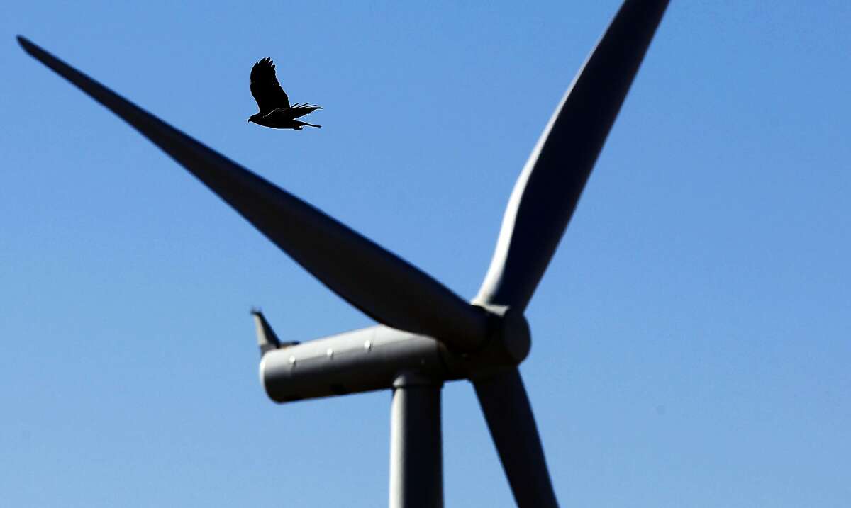 Windpower company to replace birdkilling Altamont turbines