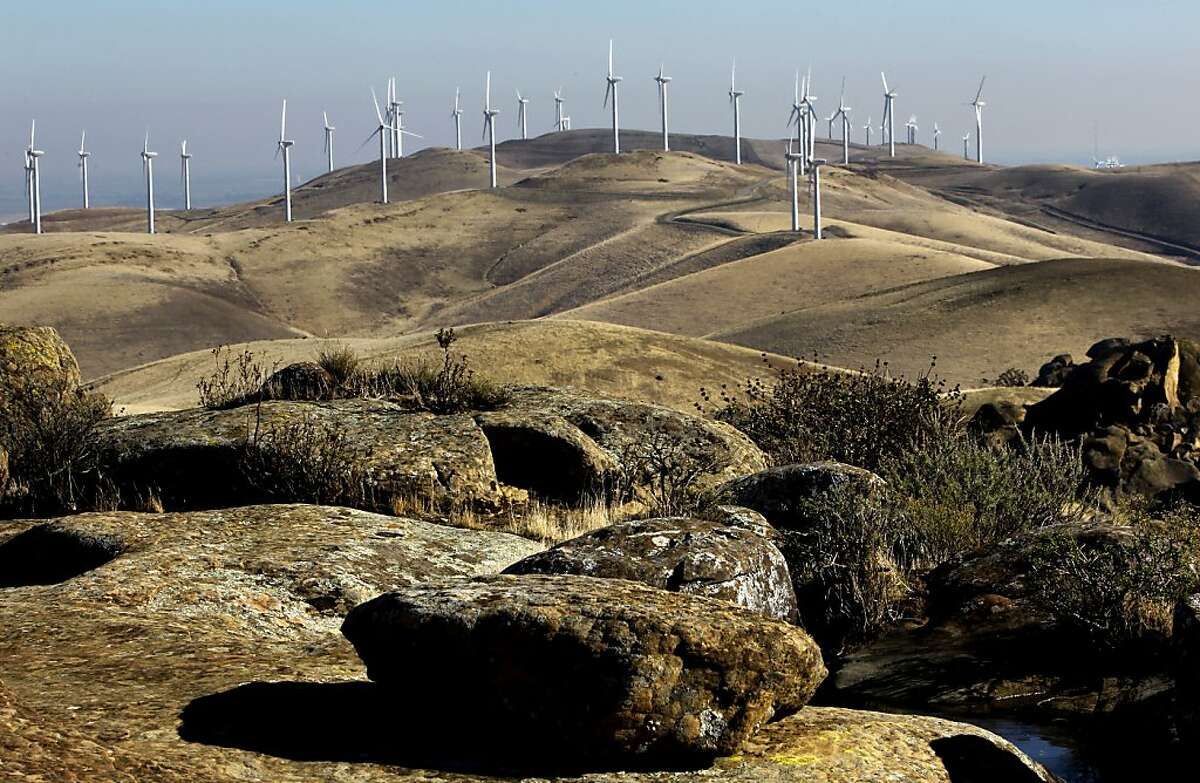 A wind farm on Monday Dec. 9, 2013, that sits on newly acquired property by the East Bay Regional Park District as seen from the Vasco Caves Regional Park, in the Altamont Pass near Livermore, Ca. A decision by President Obama to allow wind energy companies to kill eagles and birds for thirty years could have a significant impact on the Bay Area, where one of the country's deadliest collection of wind turbines sits on the Altamont Pass.
