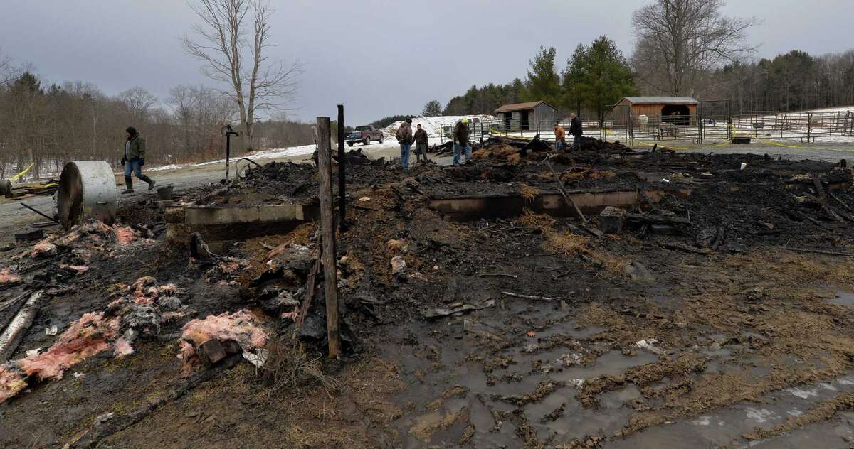 Owner dies trying to save horses