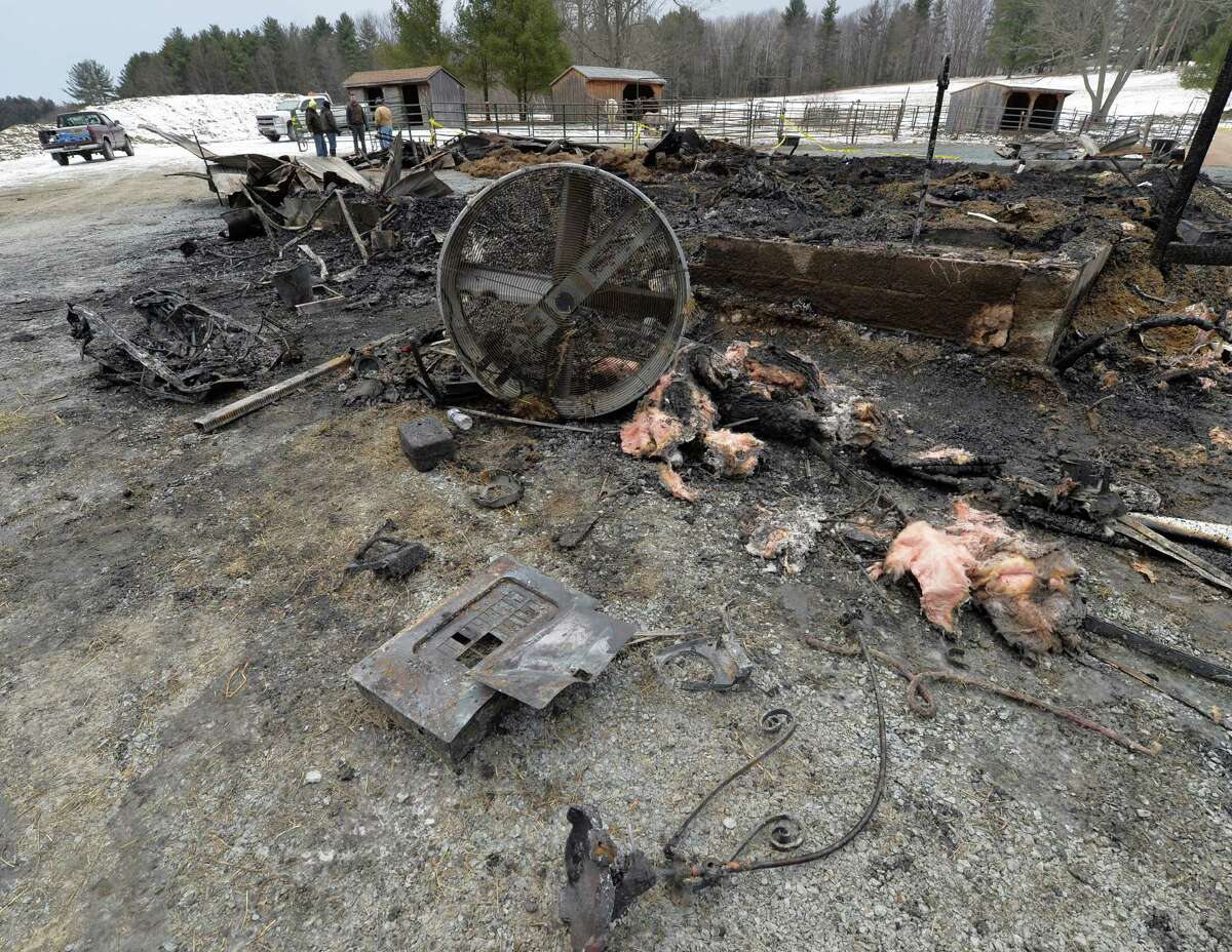 Owner dies trying to save horses