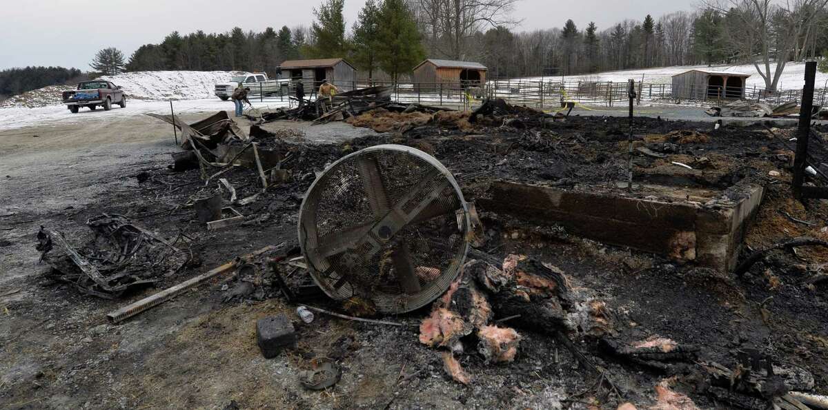 Owner dies trying to save horses