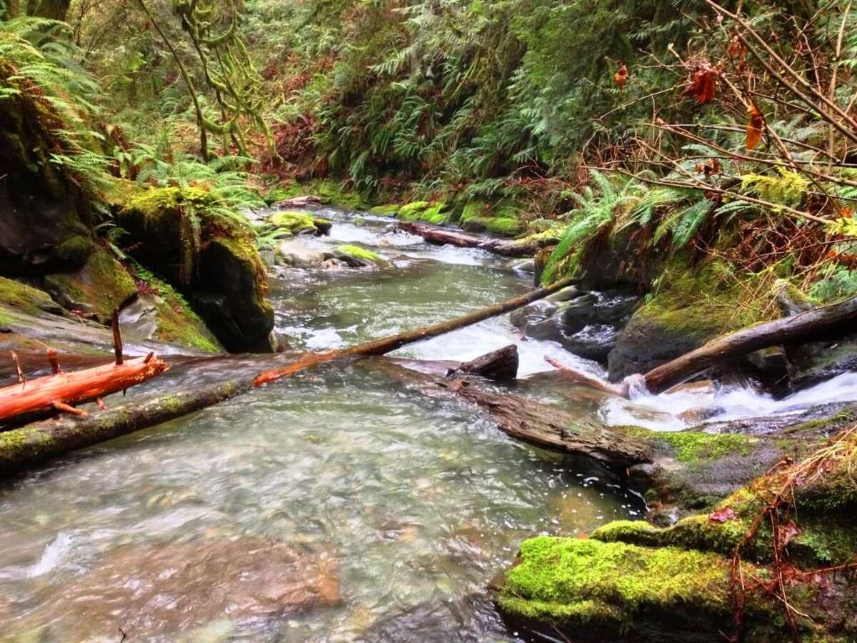 SedroWoolley castle sells for 782K