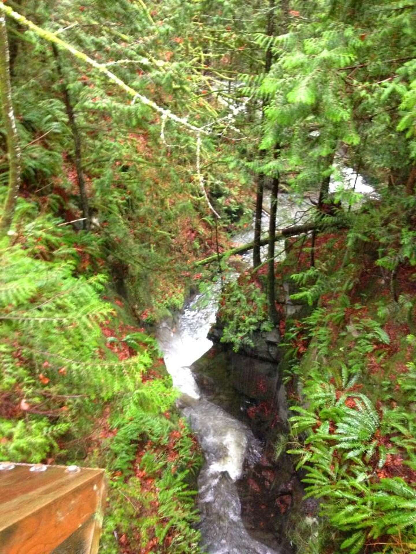 SedroWoolley castle sells for 782K