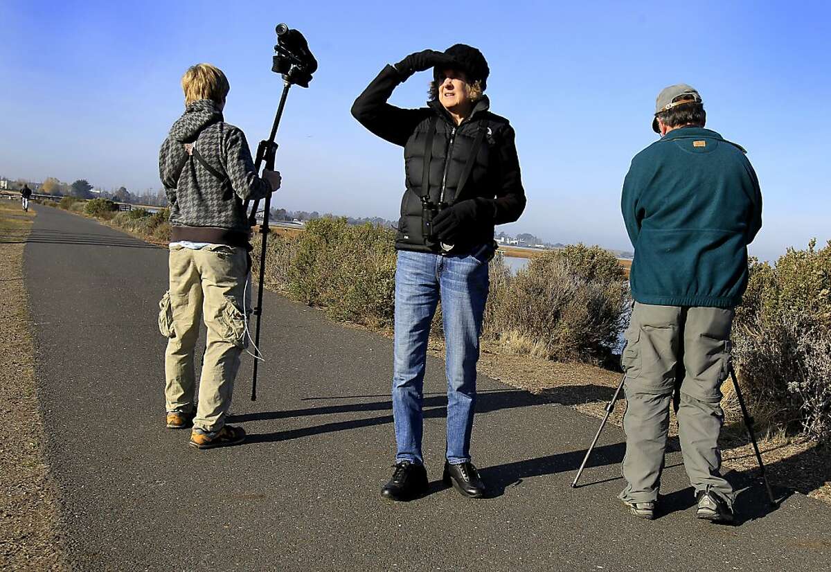 Mary Krentz (center) looks to the south as the bird counters begin early Sunday December 15, 2013 in Oakland, Calif. The annual Audubon bird count is underway in the East Bay and began at the Arrowhead Marsh in the Martin Luther King recreation area.