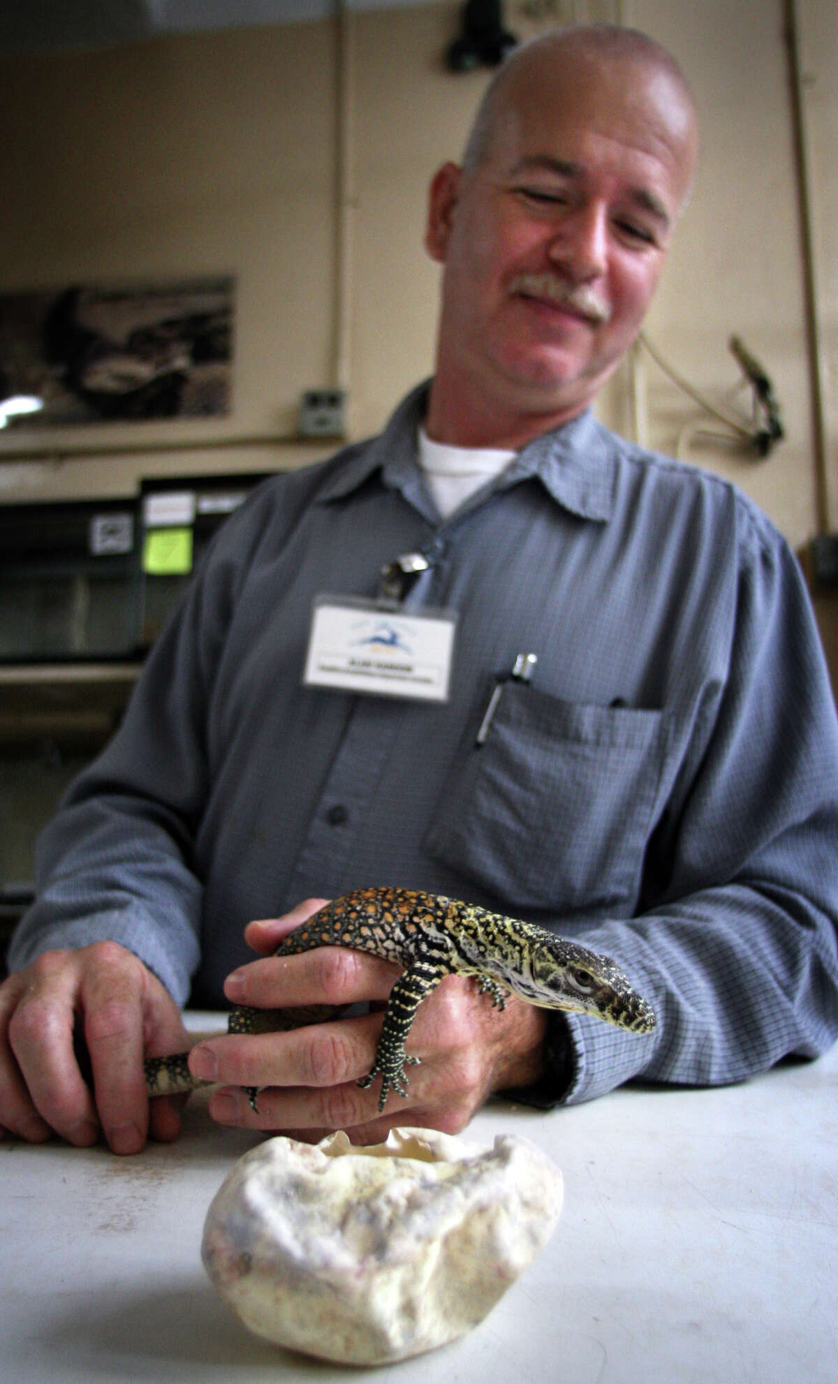 Baby Komodo Dragon Debuts At San Antonio Zoo