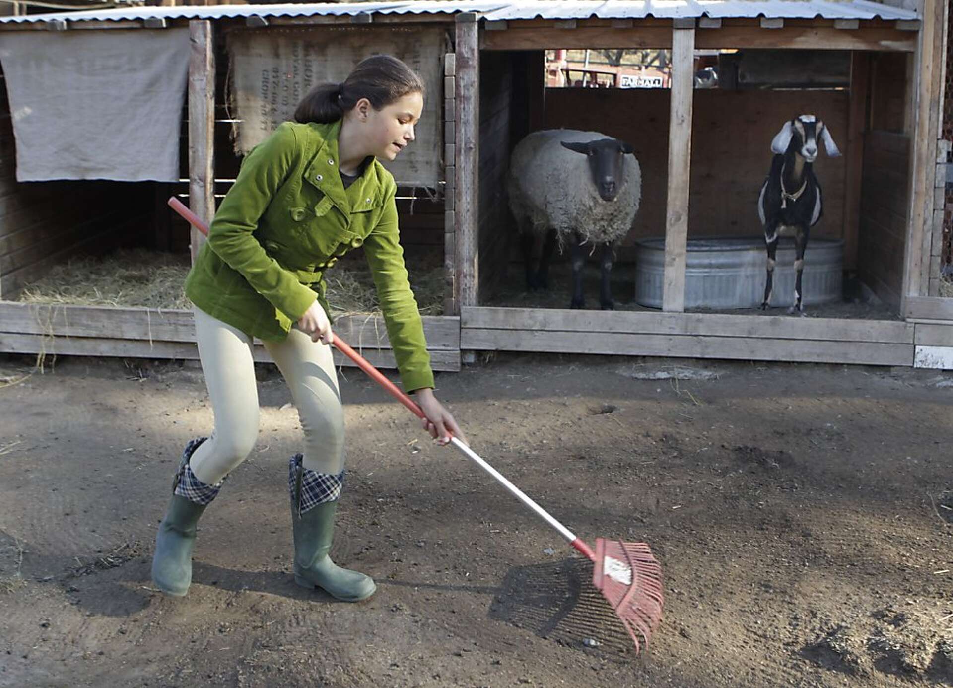 Borges Ranch to Castle Rock: Day hike full of variety